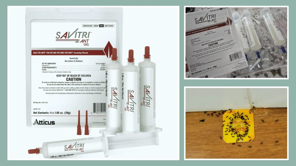 Savitri Ant Gel Bait (Equivalent to Atticus 30 g Tubes)